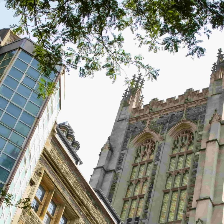 View of a tall, ornate stone university building with large windows, surrounded by trees and other historic structures, photographed from a low angle on a sunny day.